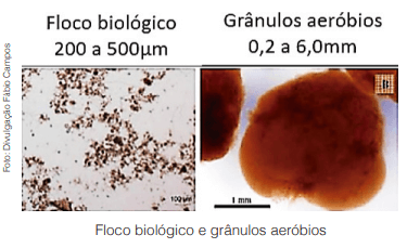 Lodo Granular Aeróbio: Uma Revolução no Tratamento de Efluentes